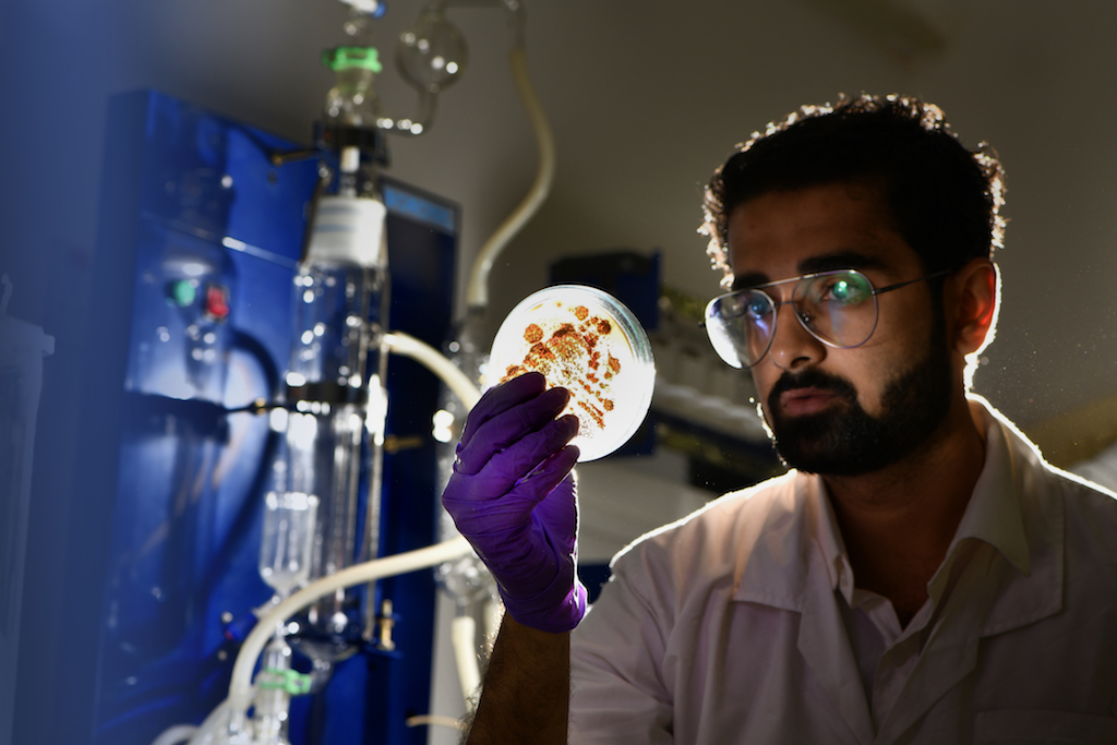B.Sc Bio-Informatics